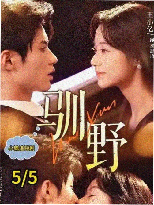 赤柱来信 剧集封面