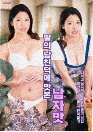 渔港旧梦 剧集封面
